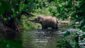 Experience Dak Lak Tours with sustainable exploration